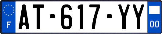 AT-617-YY