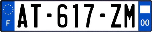 AT-617-ZM