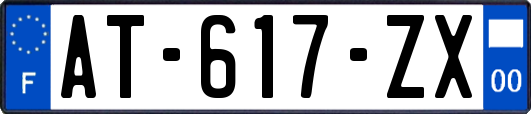 AT-617-ZX