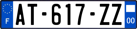 AT-617-ZZ