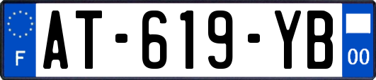 AT-619-YB