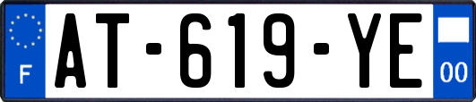 AT-619-YE