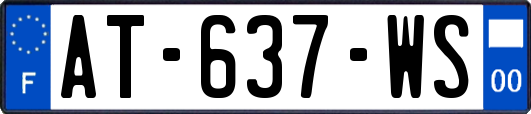 AT-637-WS