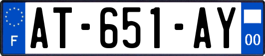 AT-651-AY
