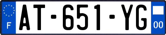 AT-651-YG