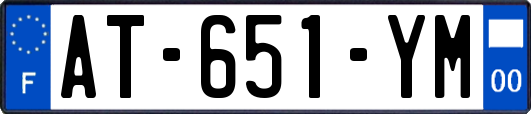 AT-651-YM