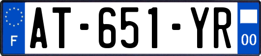AT-651-YR