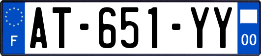AT-651-YY