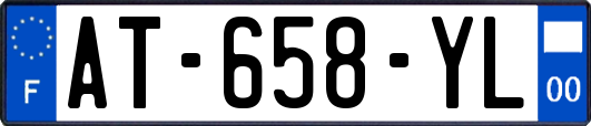 AT-658-YL