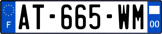AT-665-WM