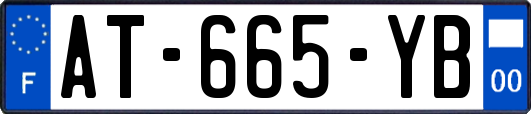 AT-665-YB