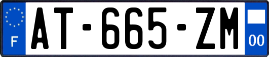 AT-665-ZM