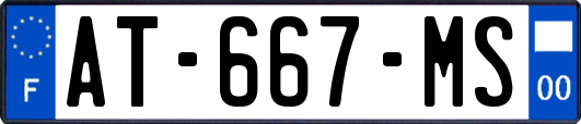 AT-667-MS