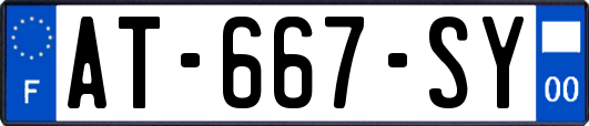 AT-667-SY