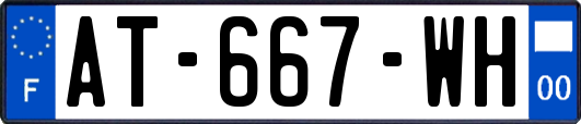 AT-667-WH