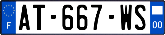 AT-667-WS