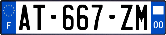 AT-667-ZM