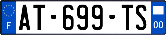 AT-699-TS