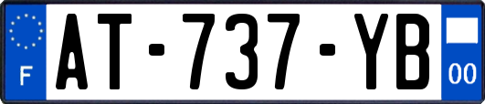 AT-737-YB