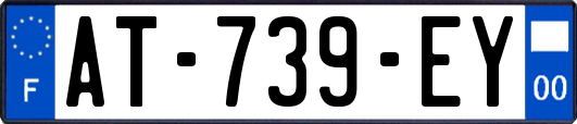 AT-739-EY
