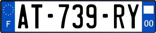 AT-739-RY