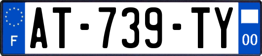 AT-739-TY