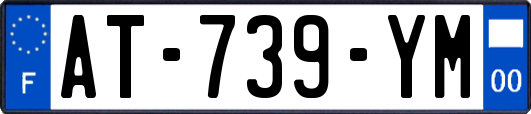 AT-739-YM