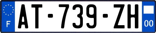 AT-739-ZH