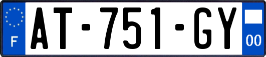 AT-751-GY