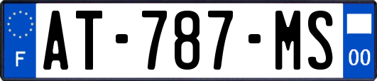 AT-787-MS
