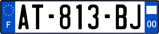 AT-813-BJ