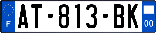 AT-813-BK