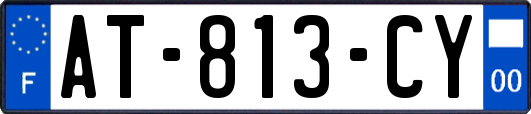 AT-813-CY