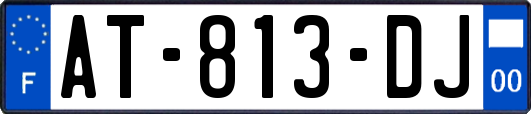 AT-813-DJ