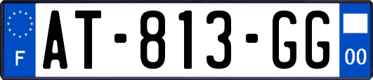 AT-813-GG