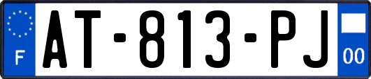 AT-813-PJ