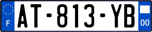 AT-813-YB