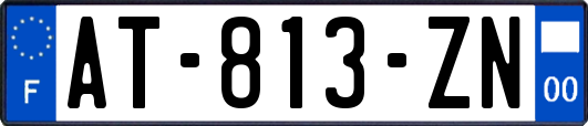 AT-813-ZN