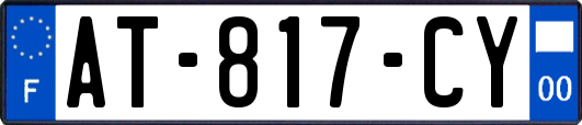 AT-817-CY