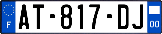 AT-817-DJ