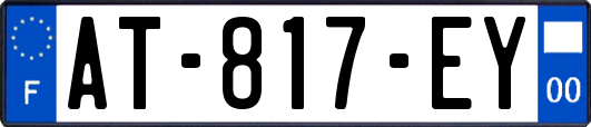AT-817-EY