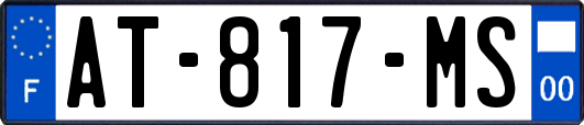 AT-817-MS