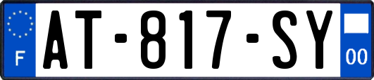 AT-817-SY