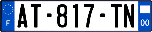 AT-817-TN