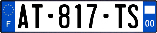AT-817-TS