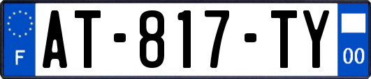 AT-817-TY