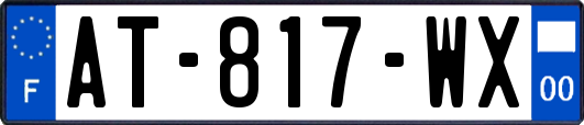 AT-817-WX