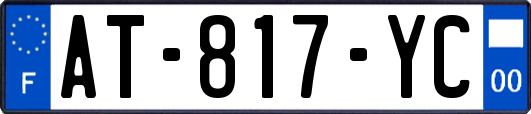 AT-817-YC