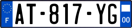 AT-817-YG