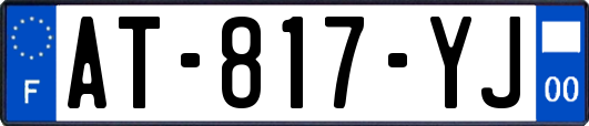 AT-817-YJ